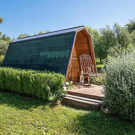 House Olive Holiday home Medulin
