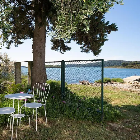 House Olive Holiday home