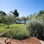 House Olive Medulin